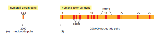 Figure 6-24.png